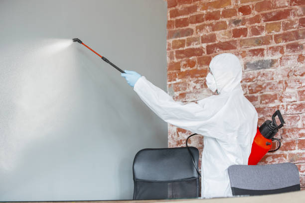 Best Mold Documentation for Insurance Claims  in Logan, OH