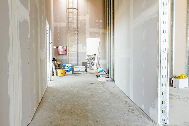 Best Biohazard Mold Removal  in Logan, OH