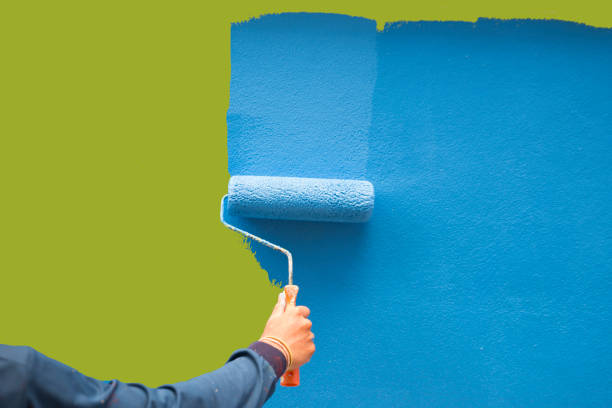 Best Mold Damage Restoration  in Logan, OH
